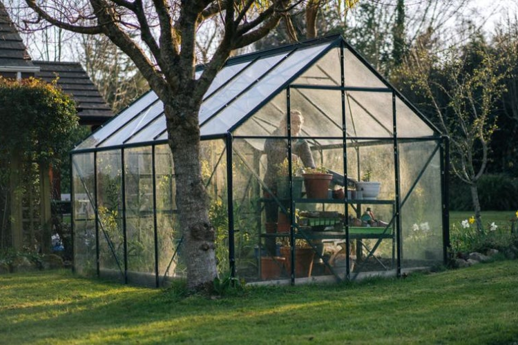 All-Weather Greenhouse Kits for Your Backyard