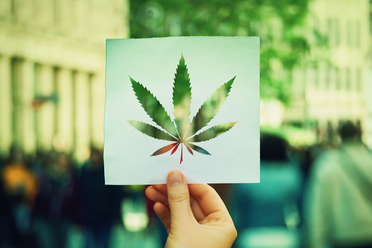 The Growth of Weed Culture in D.C: A Look into the District's Evolving Relationship with Marijuana