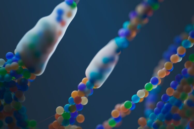 Neanderthal DNA in humans
